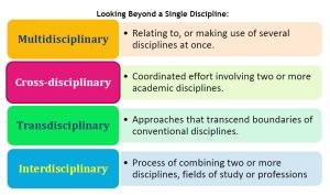 Definitions of types of multiple disciplinaties